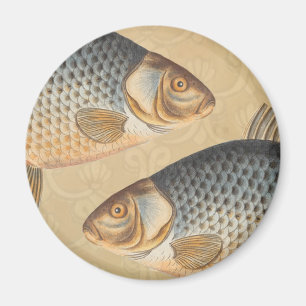 Karpfenfisch Malerei Süßwasser Zeichnung Magnet