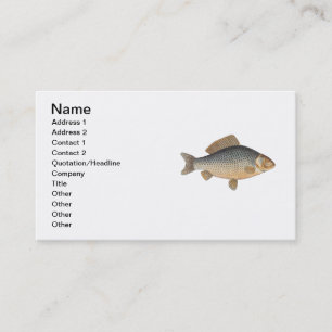 Karpfenfisch Malerei Süßwasser Zeichnung Visitenkarte