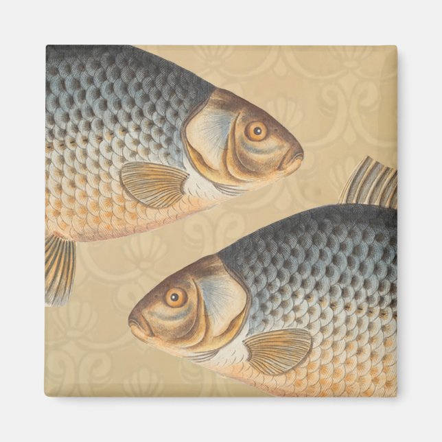 Karpfenfisch, Süßwasser anstrichen Magnet (Vorne)