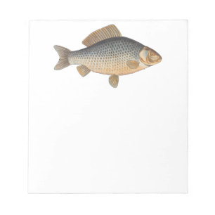 Karpfenfisch, Süßwasser anstrichen Notizblock