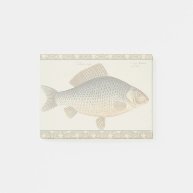 Karpfenfisch, Süßwasser anstrichen Post-it Klebezettel (Vorderseite)