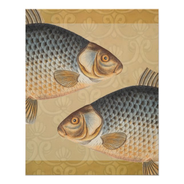 Karpfenfisch, Süßwasser anstrichen Poster (Vorderseite)