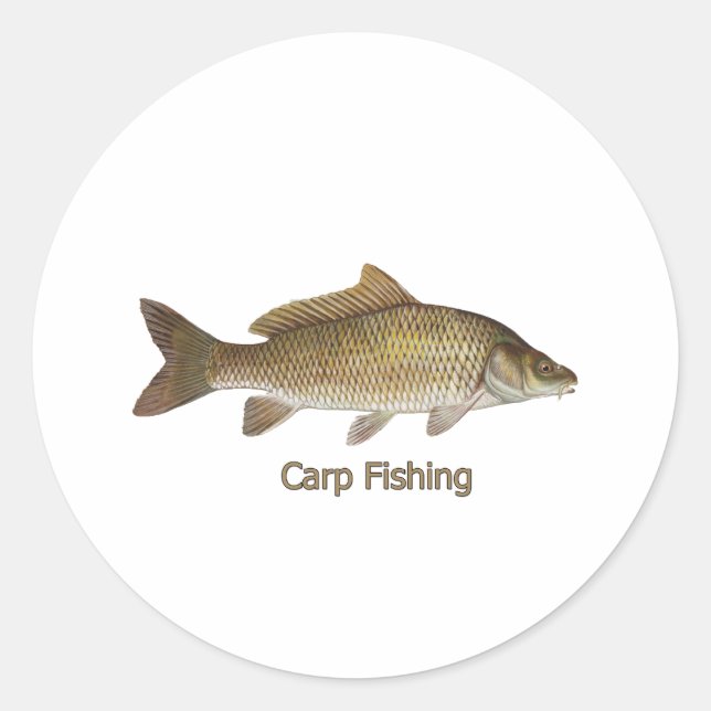 Karpfenfischerei Runder Aufkleber (Vorderseite)