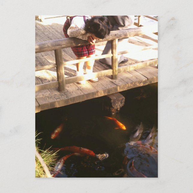 Karpfenteich Postkarte (Vorderseite)