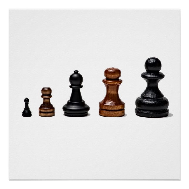 Karriereweg Poster (Vorderseite)