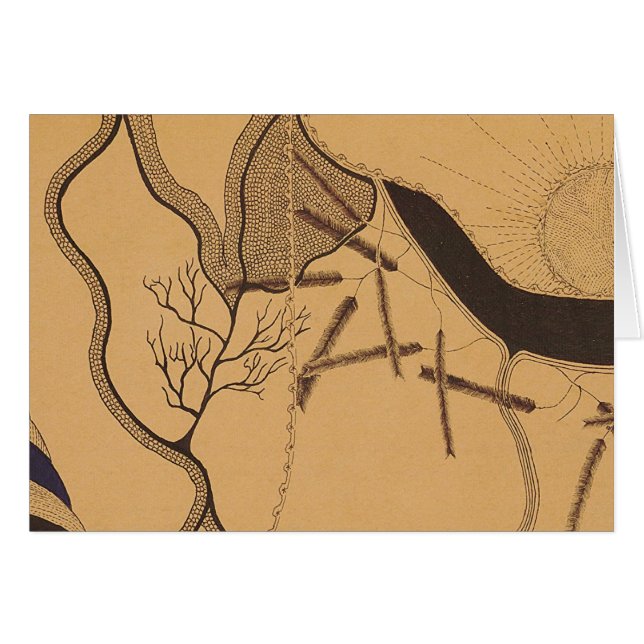 Karte 5 Johns Haughton (Vorderseite (Horizontal))