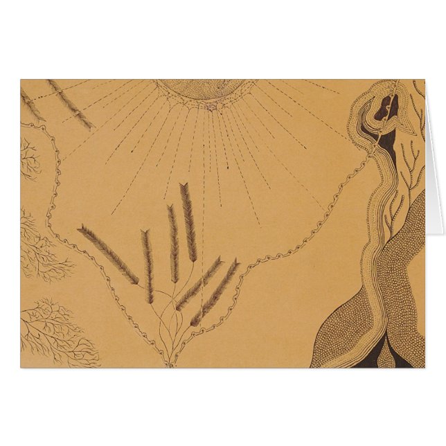 Karte 6 Johns Haughton (Vorderseite (Horizontal))