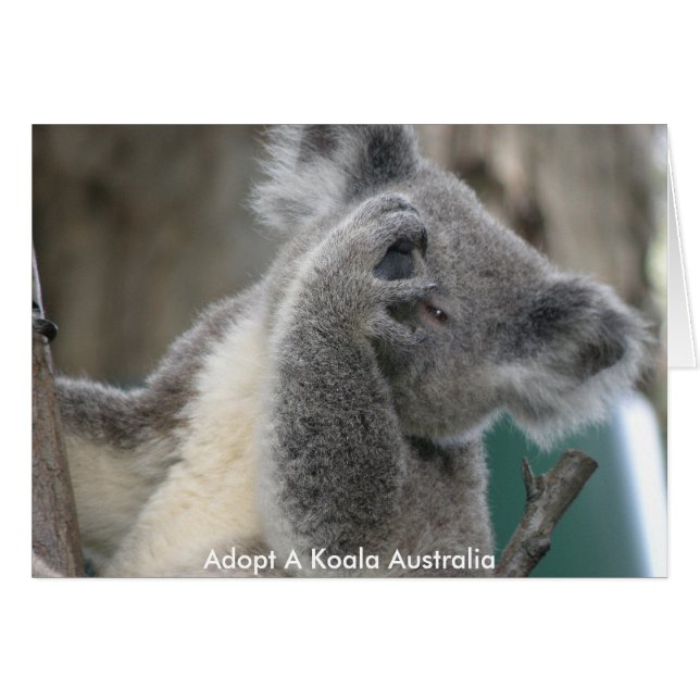 Karte Adoptiere eine Koala Australia Paw (Vorderseite (Horizontal))