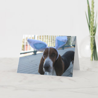 Karte Basset Hounds Ostern