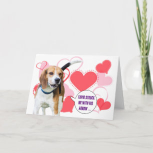 Karte Beaglevalentines Tages