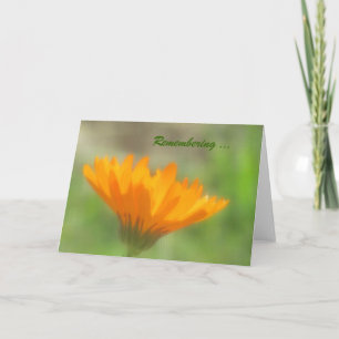 Karte - Begrüßung - Orange Calendula