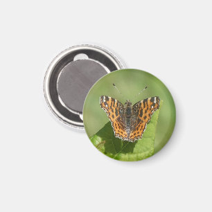 Karte Butterfly auf dem Leaf Magnet