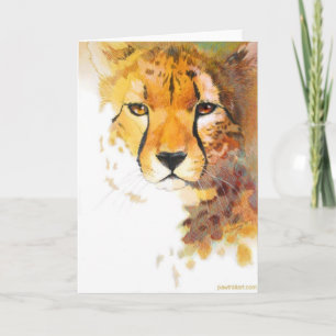 Karte - Cheetah!