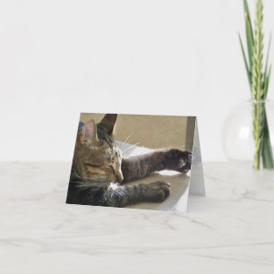 Karte (CN) - Nickerchen der Katze oder zwei