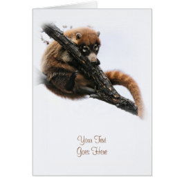 Karte: Coatimundi #5 (Portrait)