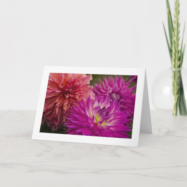 Karte, Dahlia # 150 Karte (Vorderseite)
