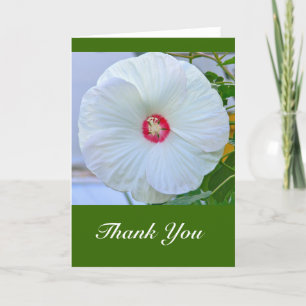 Karte, "Danke" Weißer Hibiskus Dankeskarte
