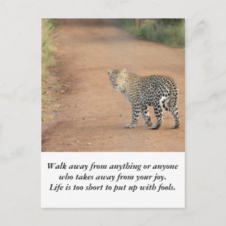 Karte: Das Leben ist zu kurz Postkarte