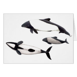 Karte Delphin von ovejera Commerson oder tonina