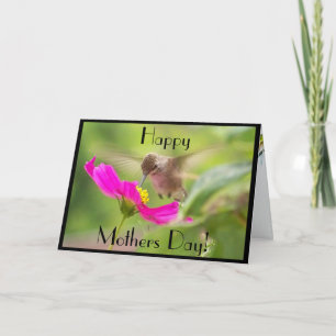 Karte der Hummer-Mamas Tages