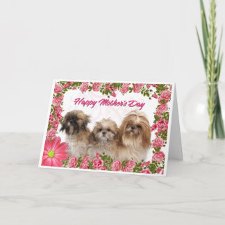 Karte der Mutter Tages- Hunde Shih Tzu - rosa