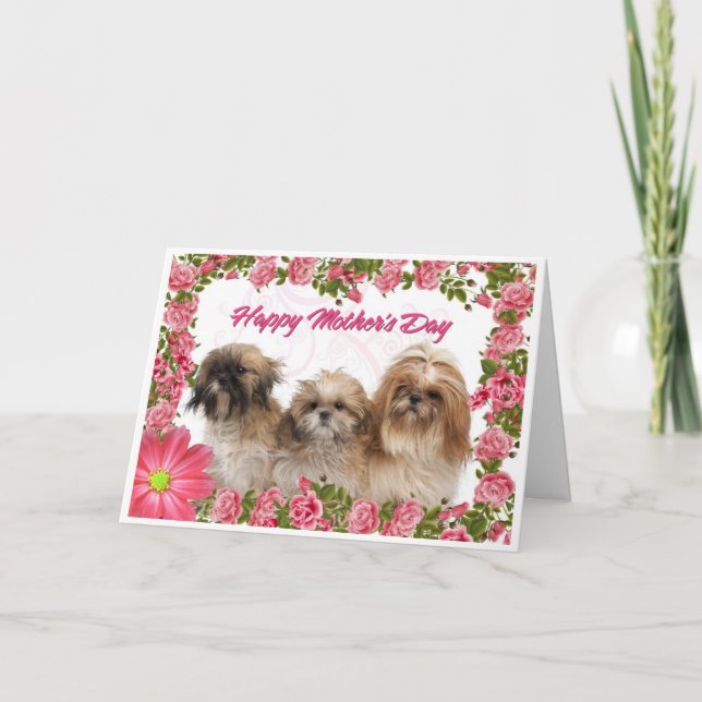 Karte der Mutter Tages- Hunde Shih Tzu - rosa (Vorderseite)