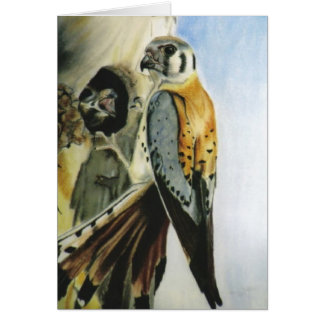 Karte "des amerikanischen Kestrel"