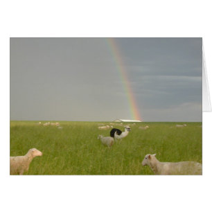 Karte des Farbschutzes 2