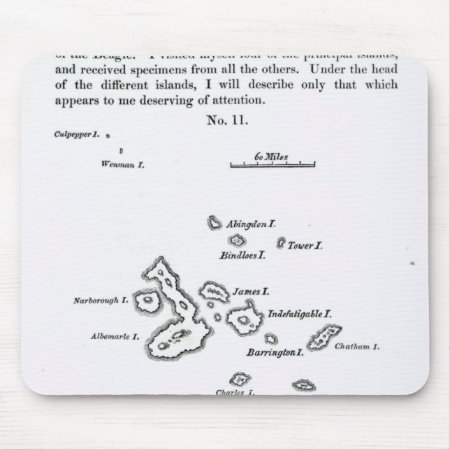 Karte des Galapagos-Archipels, 1844 Mousepad (Vorne)