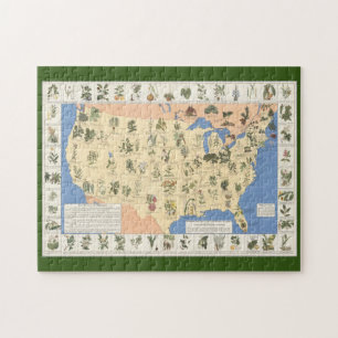 Karte des Heilmittelpuzzlespiels Puzzle