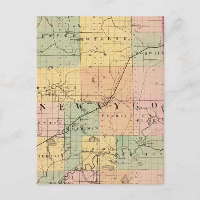 Karte des Newaygo-Landkreises, Michigan (Vorderseite)