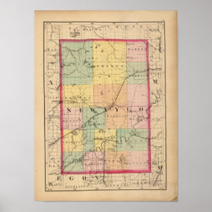 Karte des Newaygo-Landkreises, Michigan Poster