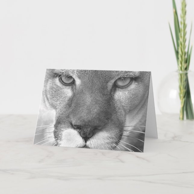 Karte des Pumas #1-Greeting (Vorderseite)