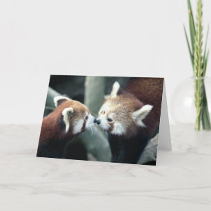 Karte des roten Pandas #2-Greeting