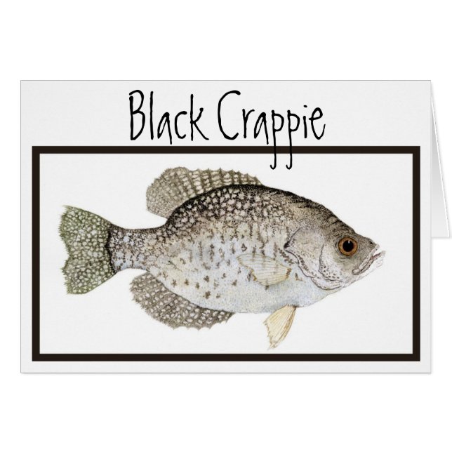 Karte des schwarzen Crappie (Vorderseite (Horizontal))