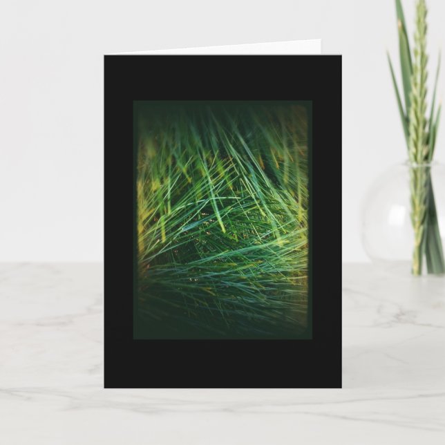 Karte des Winterurlaub-1 (Vorderseite)