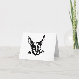 Karte: Doberman