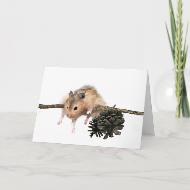 Karte einhängen (Vorderseite)