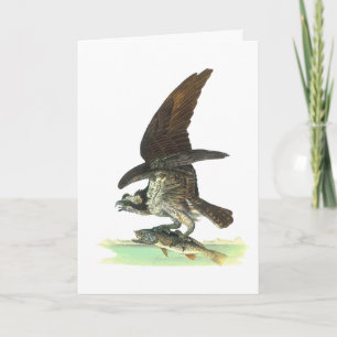 Karte: Fischadler - John Audubon Feiertagskarte