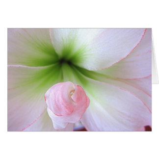 Karte "Flora Tenera"