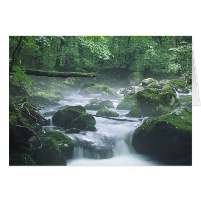 KARTE - FLUSS (Vorderseite (Horizontal))