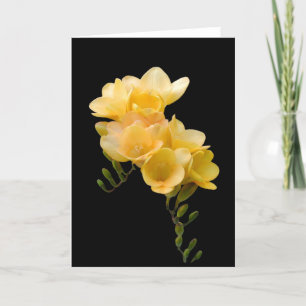 Karte, gelber Freesia # 1 Karte