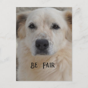 Karte, Golden Retriver Postkarte
