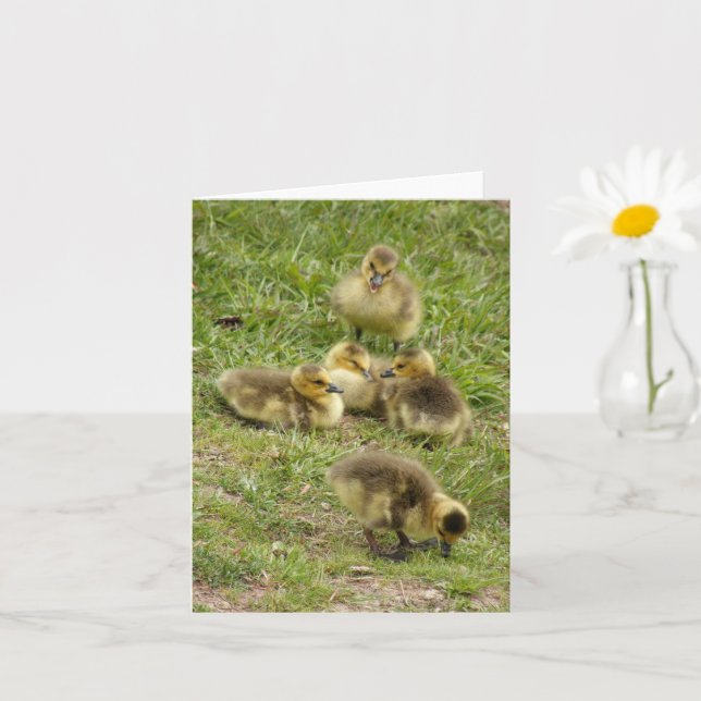 Karte - Goslings (Kleine Pflanze)