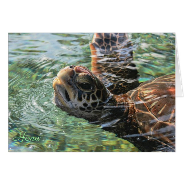 Karte: Green Sea Turtle (Vorderseite (Horizontal))
