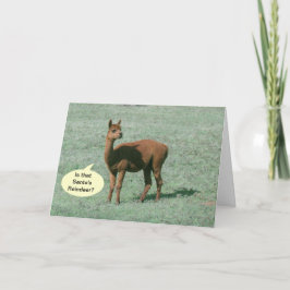 Karte - Gruß - Alpaca Gruß