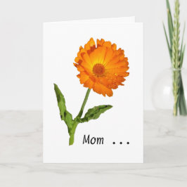 Karte - Gruß - Calendula Dank