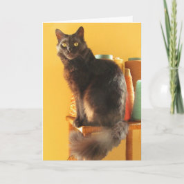 Karte - Gruß - Katze mit Garn