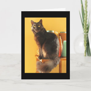 Karte - Gruß - Katze mit Garn