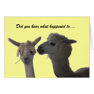 Karte - Haben Sie gehört ...